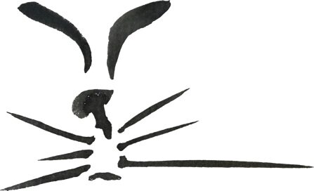 Cat face - brush and ink on paper