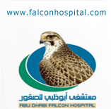 Falcon Hospital