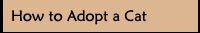 How to Adopt