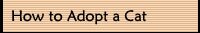 How to Adopt